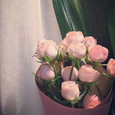 花的唯美语录精选