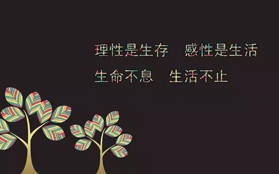 男人励志霸气语录经典