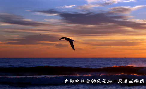 为你守候