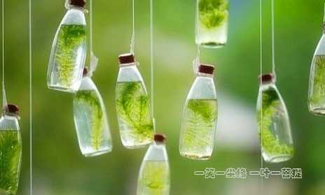 一指清风 素心向暖