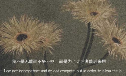 正式告别一段感情的文案 分手后的伤感说说短句