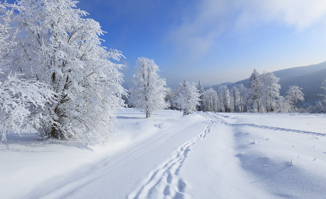 踏雪