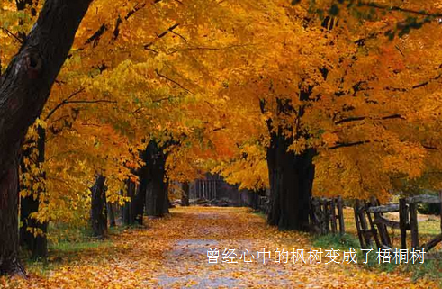 暗恋的味道