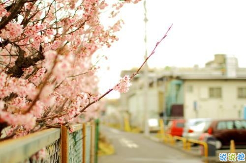 2019写小寒的抒情句子大全 最新小寒节气微信朋友