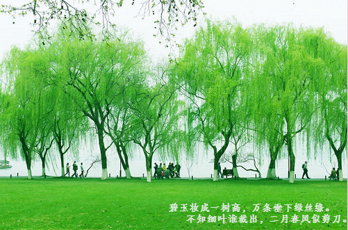 诗句里的春天