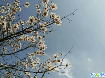 微信朋友圈文艺小短句带图片 好听文艺范说说句