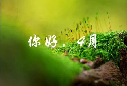 四月第一天的早安臭美说说