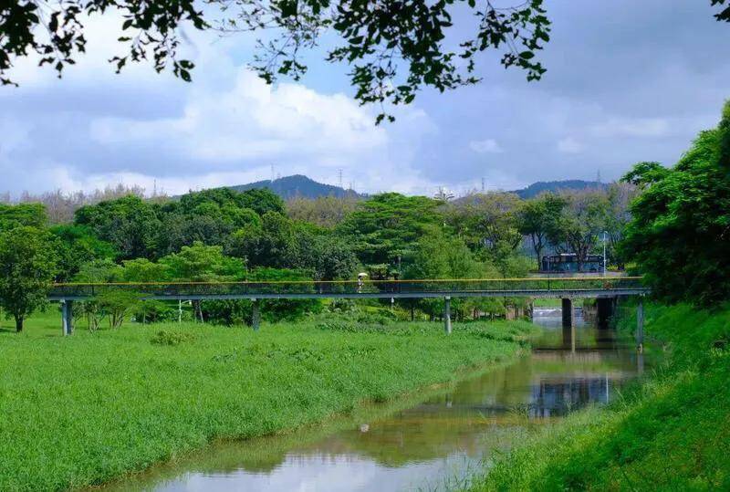 深圳十大免费花海公园