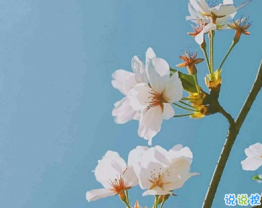 恋爱朋友圈文案 非常唯美好听的恋爱说说