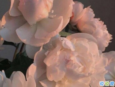 qq空间爱情说说带图片 唯美文艺的爱情句子