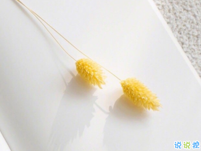 qq空间爱情说说带图片 唯美文艺的爱情句子