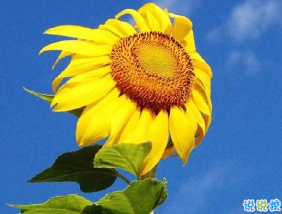 中秋节旅游发的说说配图 2019外出玩发微信的句子