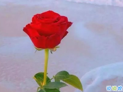 中秋节旅游发的说说配图 2019外出玩发微信的句子