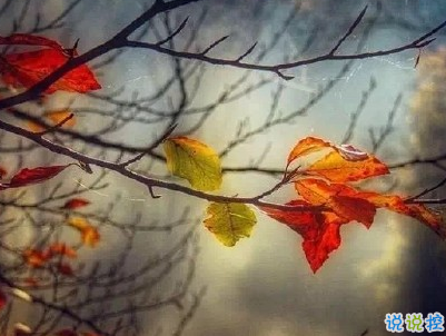 描写秋天的句子优美带图片 秋天到了微信心情说