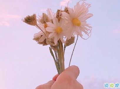早安调皮句子带图片 女生朋友圈可爱早安心语