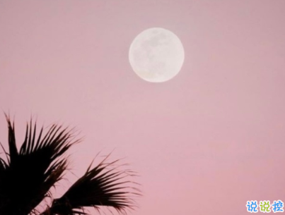 阳光励志说说致自己配图 理想高于天越苦越向前