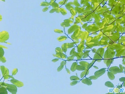 秋天朋友圈说说充满诗意 唯美有诗意的秋天说说