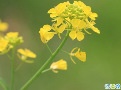 2019重阳节搞笑说说大全 重阳节朋友圈幽默祝福语