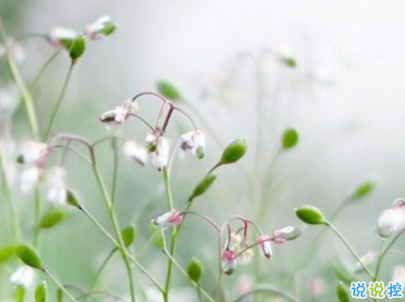 2019重阳节搞笑说说大全 重阳节朋友圈幽默祝福语
