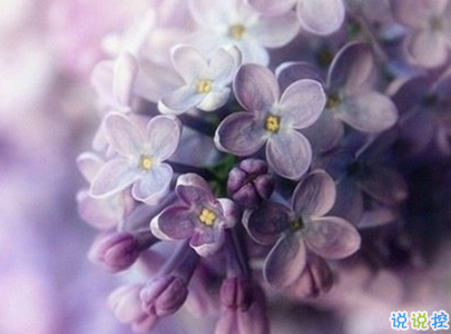 2019重阳节搞笑说说大全 重阳节朋友圈幽默祝福语