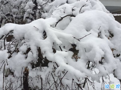 下雪天朋友圈唯美说说配图 下雪了说说简短一句
