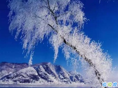 下雪天朋友圈唯美说说配图 下雪了说说简短一句