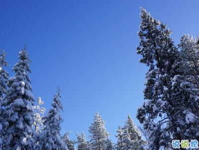 下雪天朋友圈唯美说说配图 下雪了说说简短一句