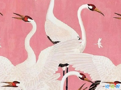 微博毒鸡汤大全带图片 毒鸡汤句子简短一句话