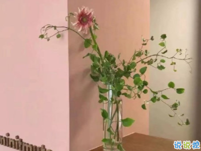 让人心动的甜句子配图 很甜很可爱的说说女生最