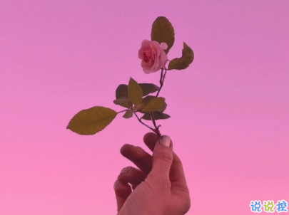 治愈系文字简短好听带图片 阳光般治愈的温暖说