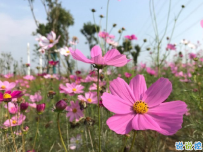 伤心至极的朋友圈说说2020最新 让人泪崩的伤感句