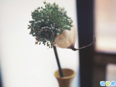 纪念日的甜言蜜语说说带图片 致自己结婚纪念日