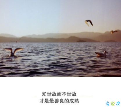 抖音经典短句带图片 洒脱精辟的经典说说