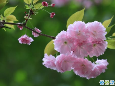 2019七月加油心情说说配图 7月新的开始励志自己