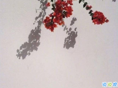 很独特的个性说说带图片 qq空间个性说说好听精