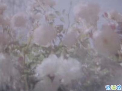 成长过程中学会的一些道理 简单但很有用的哲理