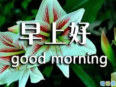 抖音早安心语唯美带图片 早安问候语幽默一句话