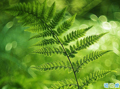 努力奋斗的句子带图片 高质量治愈系励志说说
