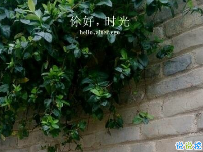 对爱情无助绝望的说说带图片 没人心疼你的难过