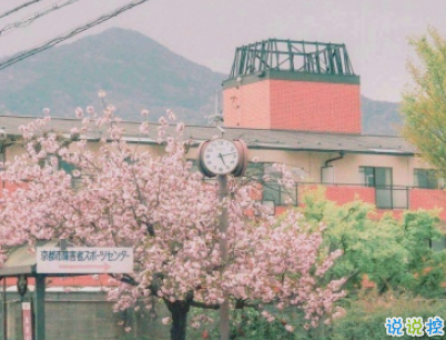 夏天的干净句子带图片 女生夏季心情说说小清新