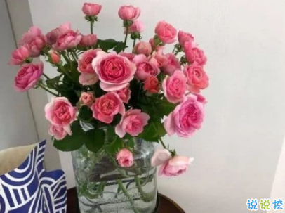 夏天的干净句子带图片 女生夏季心情说说小清新