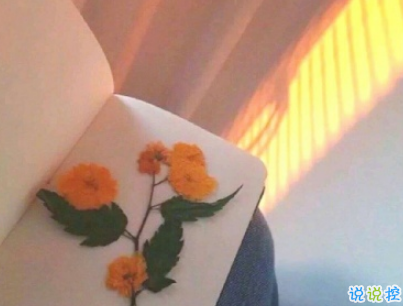 夏天的干净句子带图片 女生夏季心情说说小清新