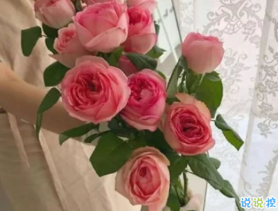 夏天的干净句子带图片 女生夏季心情说说小清新