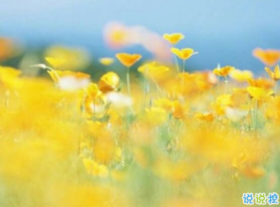 抖音最火爱情说说经典语录配图 情深是你白首也