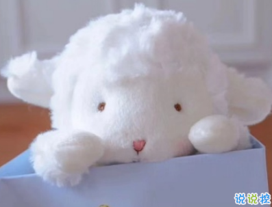 七夕柠檬文案大赛 2019七夕单身狗说说带图片