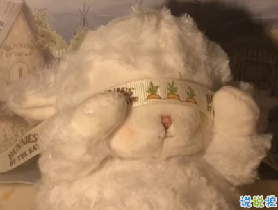 七夕柠檬文案大赛 2019七夕单身狗说说带图片