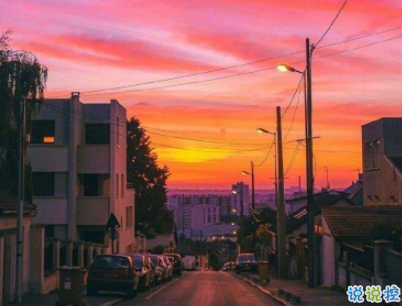 七夕柠檬文案大赛 2019七夕单身狗说说带图片