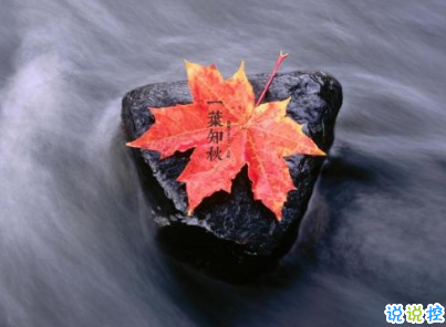 立秋朋友圈说说带图片 2019立秋节气经典说说