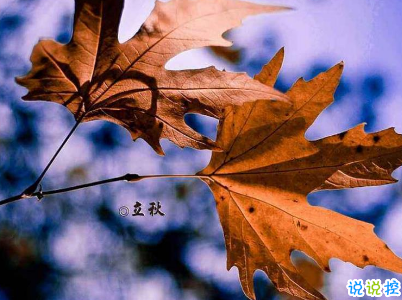立秋朋友圈说说带图片 2019立秋节气经典说说