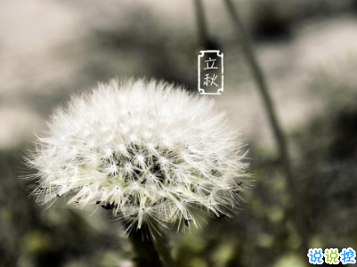 立秋朋友圈说说带图片 2019立秋节气经典说说